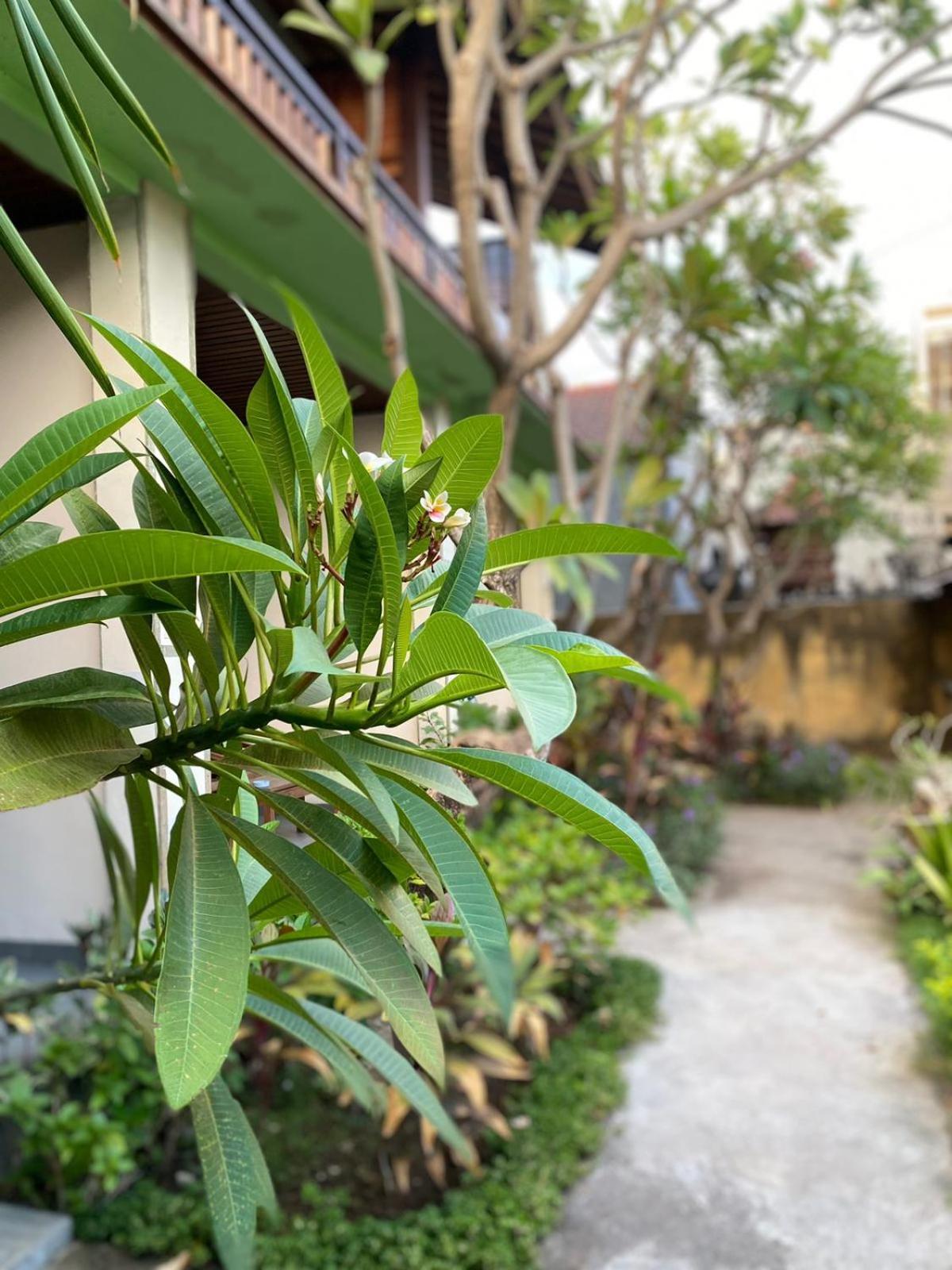 Putra'Lebah Amed Guest House Eksteriør bilde
